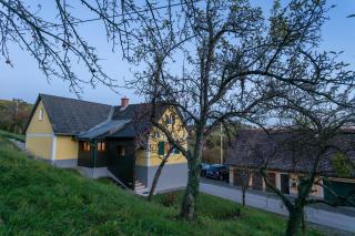 Haus Edler - Gleinstätten - 6