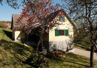 Haus Edler - Gleinstätten - 4
