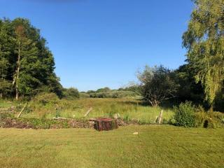 Shilla Mill Camping - Grass Pitches only - 7
