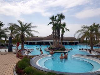 Apartament Otopeni#Aeroport#Therme#Natatie - Otopeni - 1