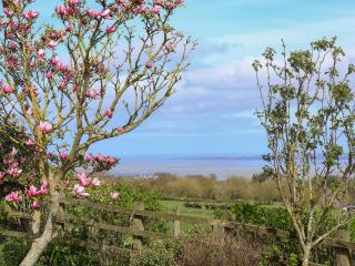 Dolphin Bach - Holywell - 0