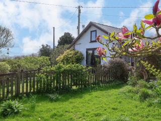 Dolphin Bach - Holywell - 8