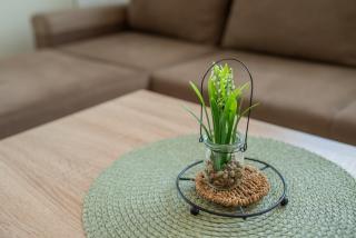 Apartmani SASKUR - Slatine - 8