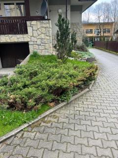 Apartament Śnieżka - Zakopane - 4