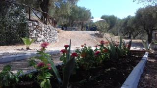Oasi Petrus Cilento B&B - Marina di Camerota - 9