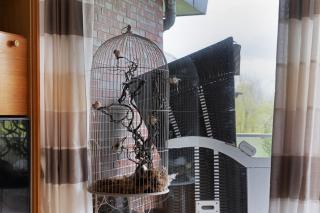 Apartment Seeadler - Butjadingen - 6