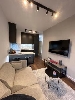 Diasfera Premium Apartments - Łódź - 0