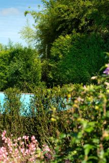 A Quinta Da Auga Hotel Spa Relais & Chateaux - Santiago de Compostela - 1