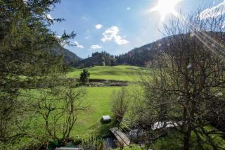 Ferienwohnung in Weißbach a d Alpenstraße - Schneizlreuth - 9