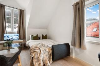 New! Well Eqipped Three Bedroom Penthouse! - Bergen - 2