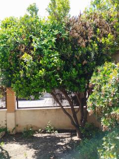 Chalet con JARDIN PUY DU FOU a 10 min ,NO FIESTAS!! - Toledo - 2