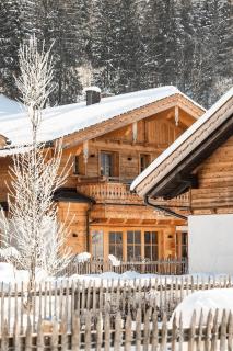 Birnbaum Chalet Kreuzkogel mit Naturbadesee und eingezäunten Garten - Grossarl - 8