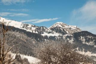 Birnbaum Chalet Kreuzkogel mit Naturbadesee und eingezäunten Garten - Grossarl - 1