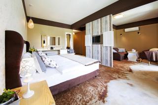 Hotel Piwniczna SPA&Conference - Piwniczna-Zdrój - 7