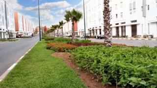 Welcoming apartment in Kenitra - 55 m² - Garden view! - Kenitra - 0