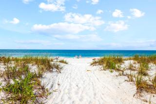 Coquina Beach Club 102 - 8