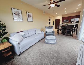 Free Parking, New Apartment, Steps From Mayo! - Rochester - 9