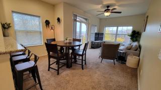 Free Parking, New Apartment, Steps From Mayo! - Rochester - 3