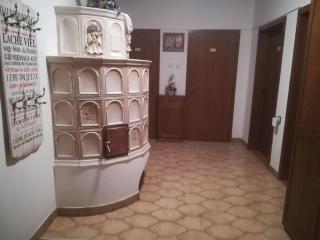 3072 Apartment MITTERFELD - Top A - 8