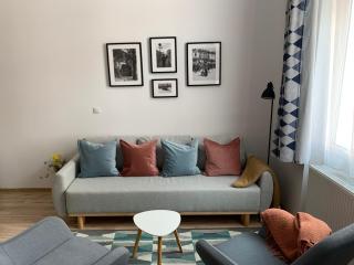 Charming Central Apartments - Cluj-Napoca - 4