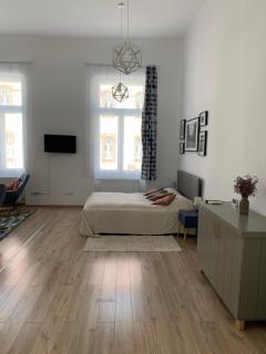 Charming Central Apartments - Cluj-Napoca - 2
