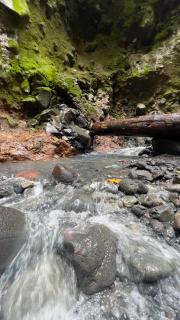 Mineral River Eco Village - Upala - 3