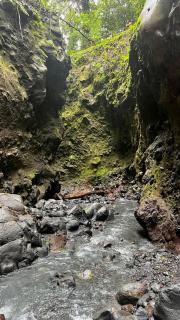 Mineral River Eco Village - Upala - 1