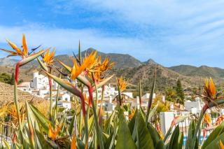Tetuan 11 Oasis Properties - Nerja - 6
