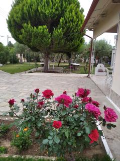 Country House Kalyves, 2 bedrooms, sleeps 6, 700sqmgarden, 180m from beach - 0