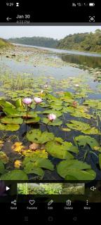 Winter Villa Karapuzha - Wayanad - 5