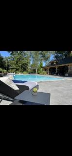 Magnifique chalet en bois avec piscine et jacuzzi - Court-Saint-Étienne - 0