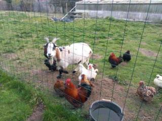 La P'tite maison Les Tourelles - 4