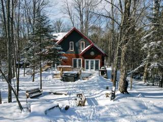 Dingle Run Lodge at Sir Sam's - Haliburton - 0