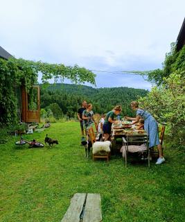Siedlisko Muchówka - Ciężkowice - 7
