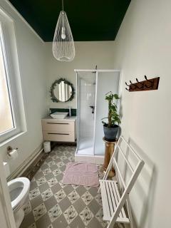 Le Sauvage - 7 personnes - Gare - BCLA - Le Mans - 1