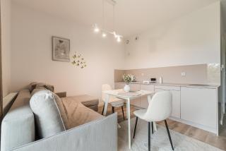 Apartament w Dolinie Sanu nr 2 - Lesko - 9