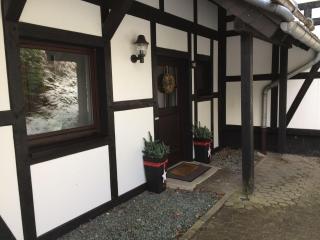 Landhaus-Postwiese - Winterberg - 9