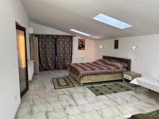 Casa Rustica Cernica - Cernica - 0