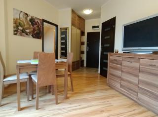 Apartament Gardena II Olsztyn - Olsztyn - 6