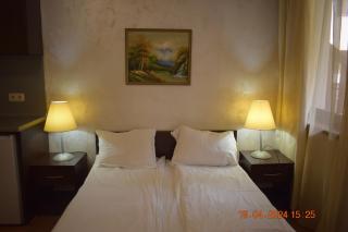 Villa Park Guest Apartments - Borovets - 4