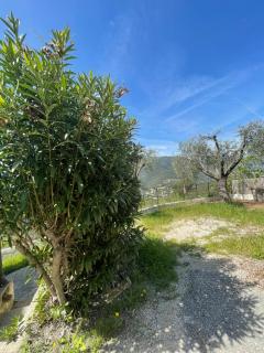 Charme provençal près de Nice - Blausasc - 5