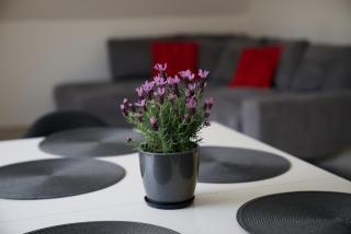 Apartamenty Taternickie - Zakopane - 7