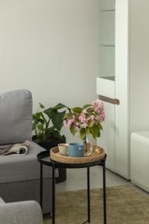 TS Hello City Apartment - Stettino - 5