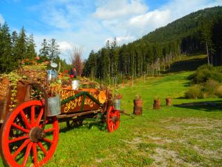 Fortuna Eco - Boutique Hotel - Băile Tuşnad - 3