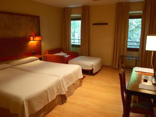 Hotel Santa Cristina Petit Spa - Canfranc-Estación - 8