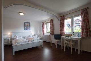Hotel Schiff am Schluchsee - 9