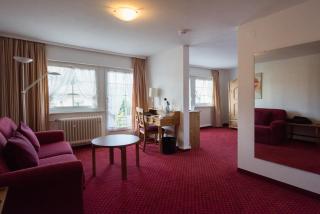 Hotel Schiff am Schluchsee - 1
