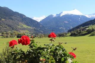 Landhaus Schwaiger - Bad Hofgastein - 0