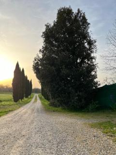 Antica Fonte Eterna - Colle di Val d'Elsa - 5