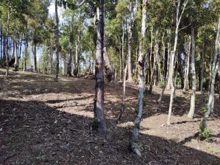 Refugio Trafwe - Curiñanco - 1